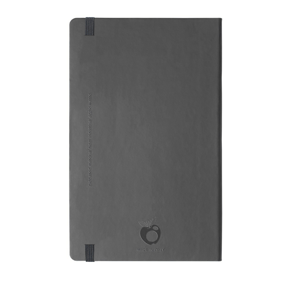 V62MEGRAb