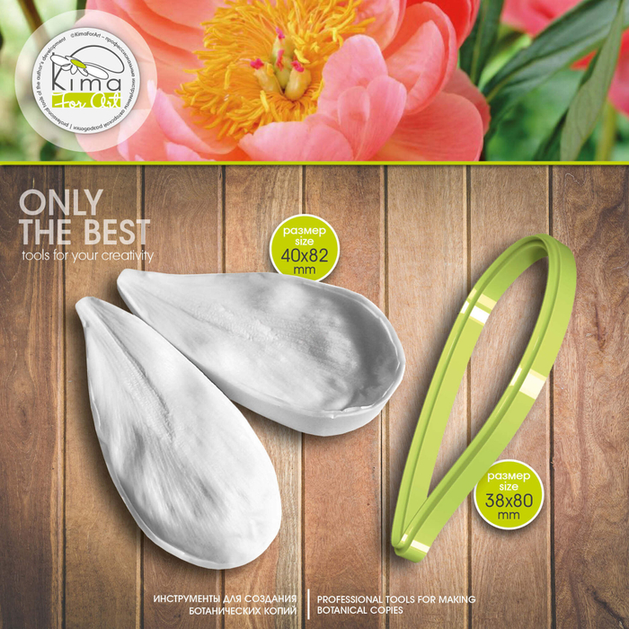 Пион Coral лепесток большой