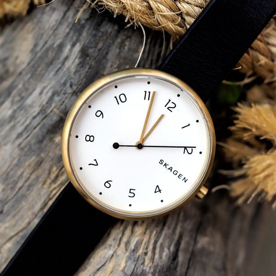 Женские часы Skagen SKW2626