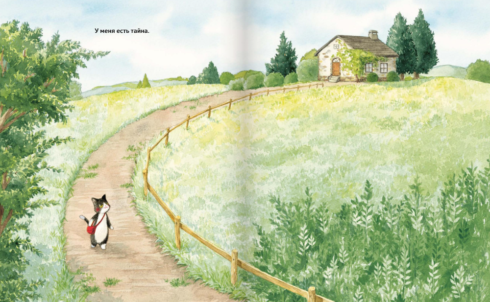 Тайна котика