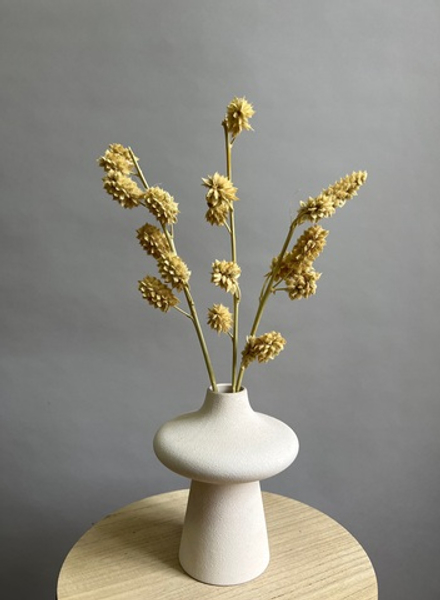 Солодка выбеленная