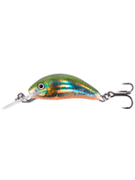 Воблер тонущий Salmo HORNET S 03.5/HGS