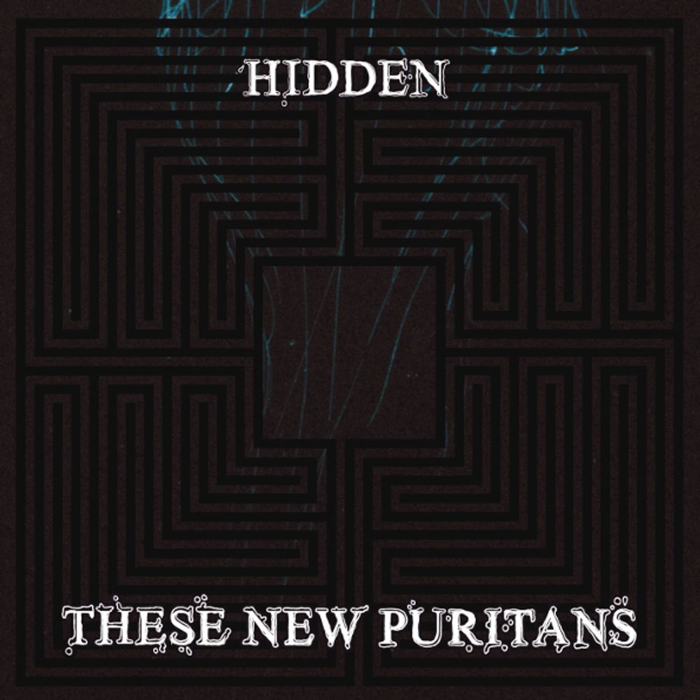 These New Puritans / Hidden (RU)(CD)