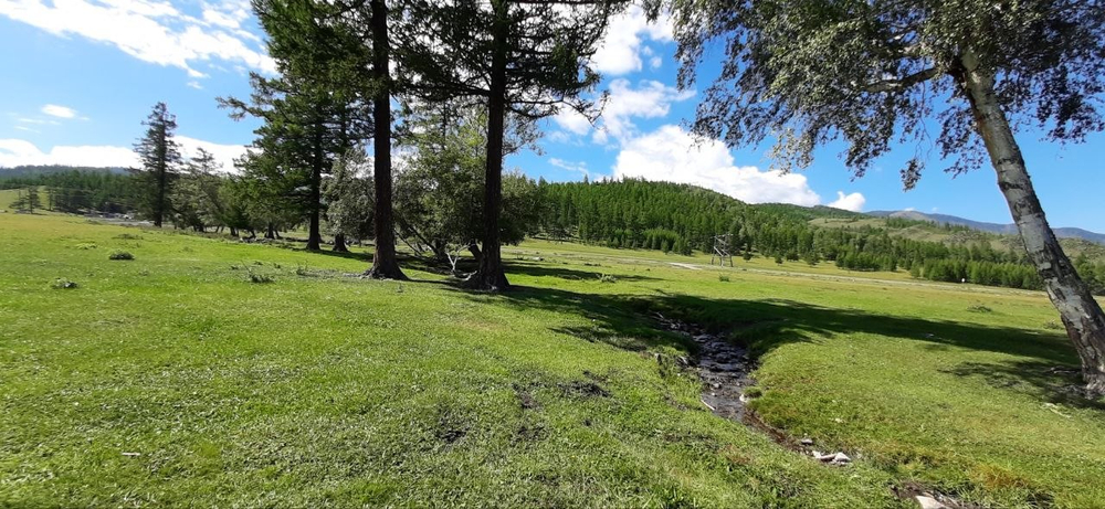это идеальное место для отдыха, для проведения торжеств, и для самых сокровенных семейных мероприятий
