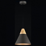 Подвесной светильник Maytoni Bicones P359-PL-220-C