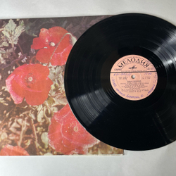 Винтажная виниловая пластинка LP Ольга Воронец У Меня Семья Большая (СССР 1974)