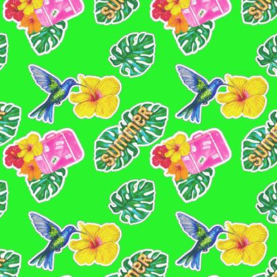 Колибри, тропики, путешествия