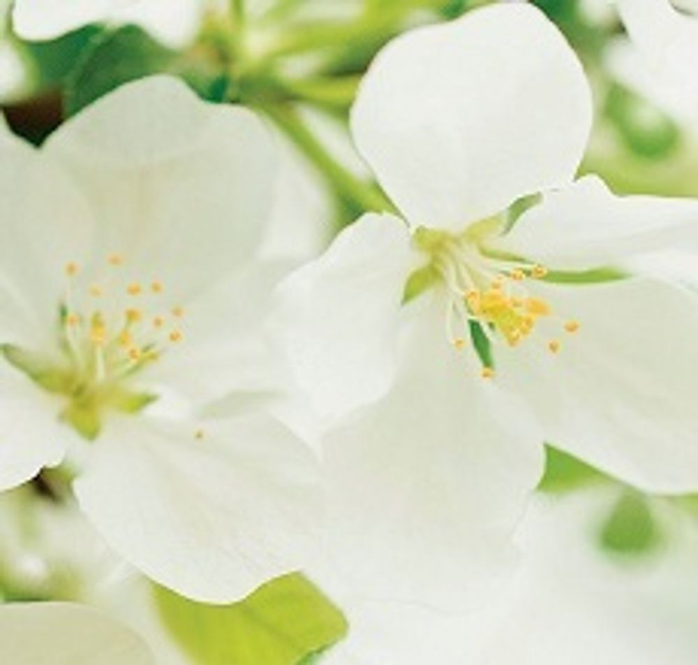 Стеновая панель 2800*610*6 (SP-199 глянец)