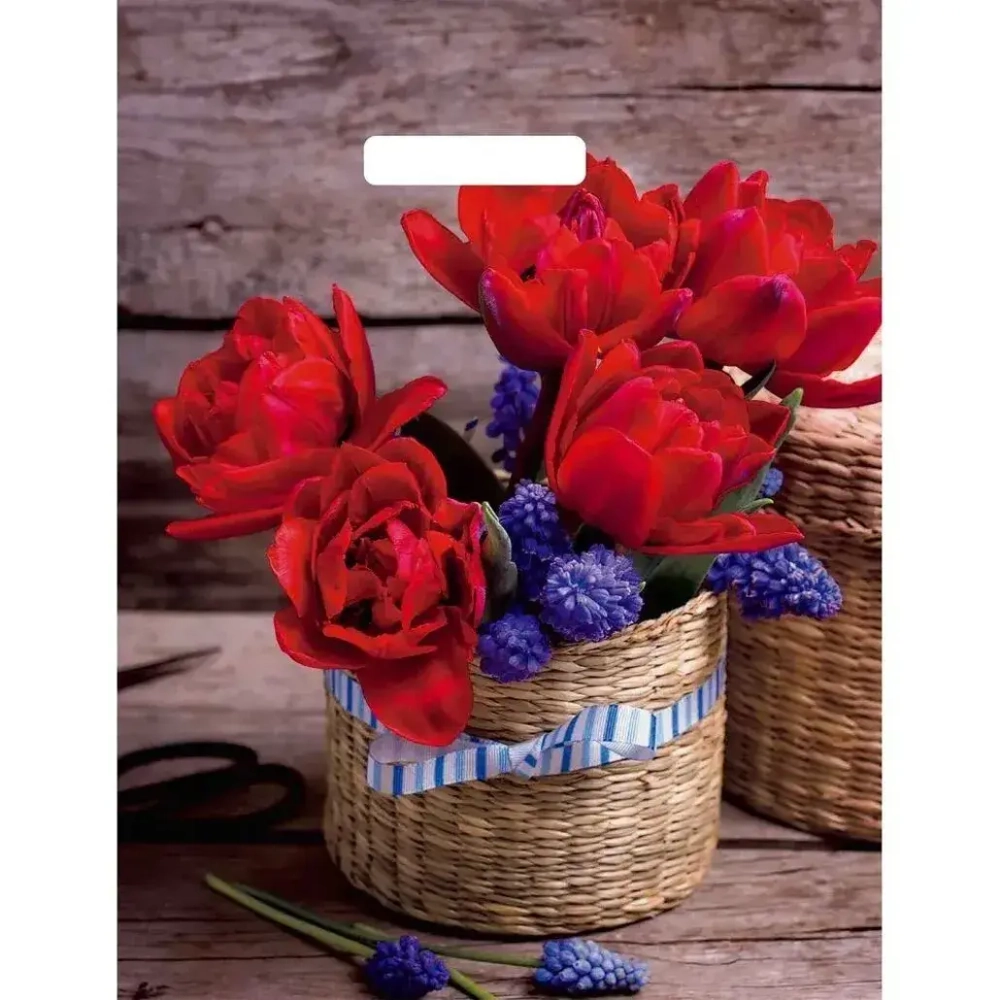 Пакет ПЭ с вырубной ручкой 31Артпласт глянец (Элисон) Россия {2 (комплект 50 шт)