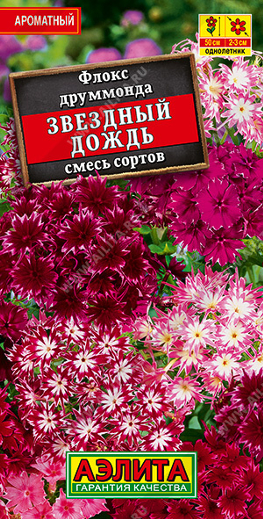 Флокс Звездный дождь друмм. 0,2г Ц Аэлита