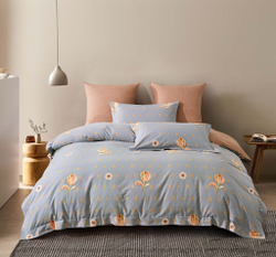 Постельное белье 2 спальное евро Asabella 2068-6