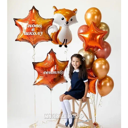 Набор шаров "Снова в школу"