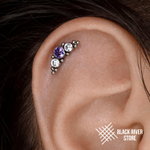 Orion's Belt IG Lavender