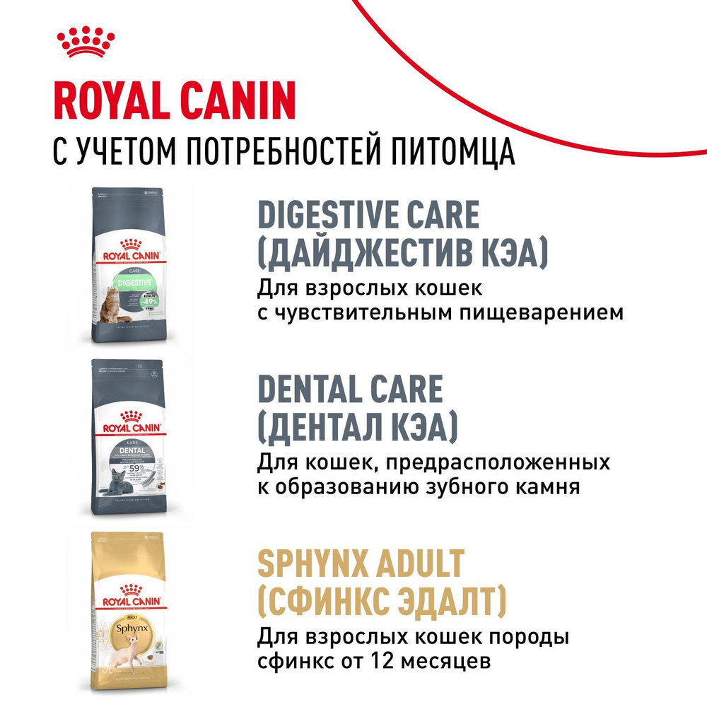Royal Canin Sphynx Kitten Корм сухой сбалансированный для котят породы Сфинкс до 12 месяцев 0,4 кг