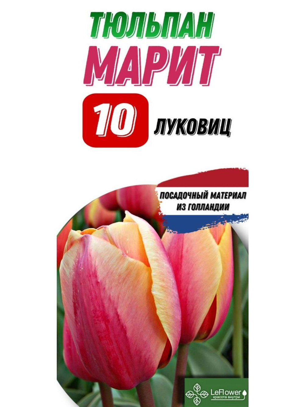 Тюльпан Луковица, Марит, 10шт