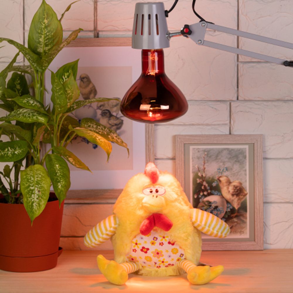 Инфракрасная лампа ЭРА ИКЗК 220-250 R127 для обогрева животных и освещения 250 Вт Е27 | Инфракрасные лампы