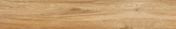Керамический гранит глазурованный - Nature Caramel MAT 120x20 E22N (IWTF50322KDA9)