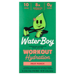 Waterboy, Workout Hydration, смесь для приготовления электролитического напитка, со вкусом фруктового пунша, 10 пакетиков-стиков по 6,5 г (0,23 унции)