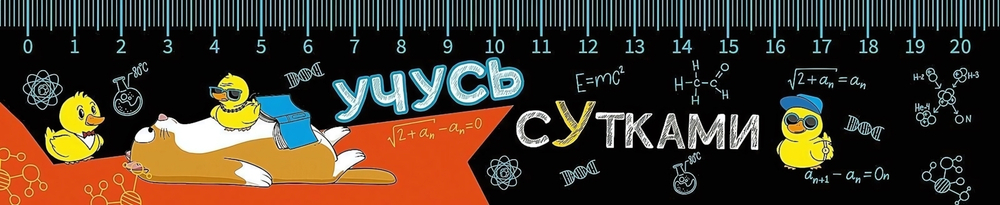 Закладка-линейка 20см. "Учусь сутками 2025" (Пчелка)