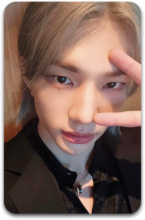 Карта / STRAY KIDS #1120