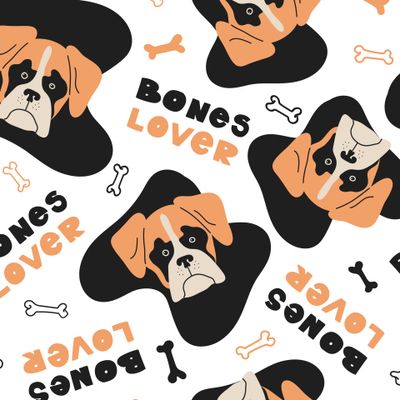 Собаки. Боксер на белом фоне