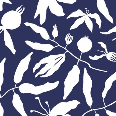 Дикий шиповник