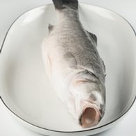 Сибас, 400+, с/м