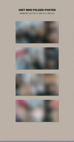 Альбом STRAY KIDS - MAXIDENT (Case ver.) (I.N)