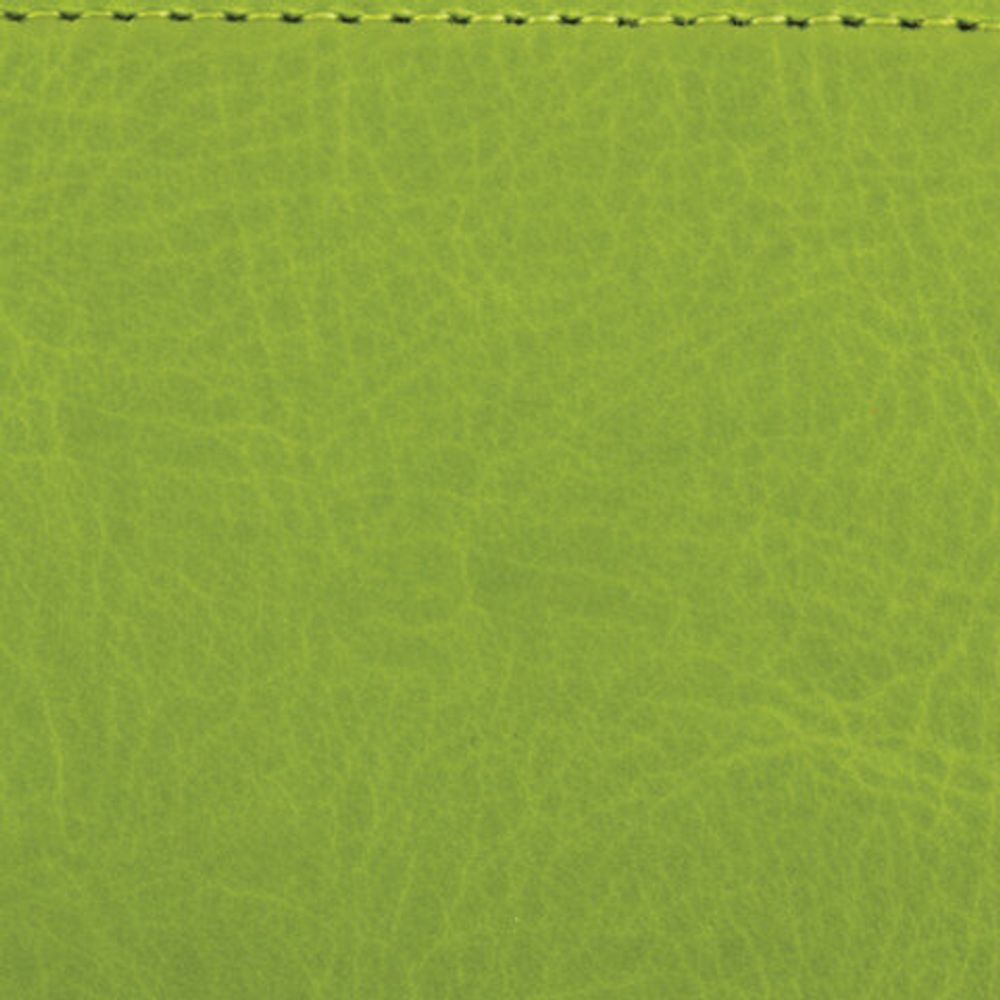 Ежедневник недатированный МАЛЫЙ ФОРМАТ 100х150 мм А6 BRAUBERG "Rainbow" под кожу, 136 л., зеленый, 111689