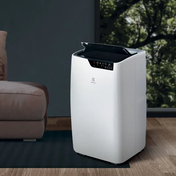 Мобильный кондиционер Electrolux EACM-09 GT/N6 Bliss Art
