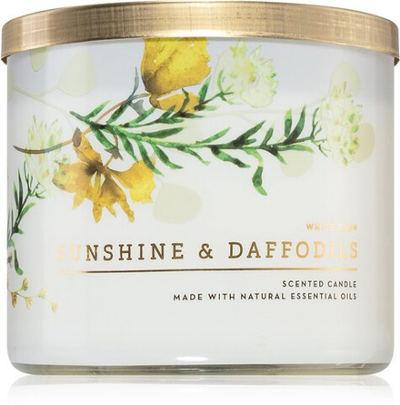 Bath & Body Works Sunshine and Daffodils - ароматическая свеча с эфирными маслами /   411  g  / GTIN 667555965033