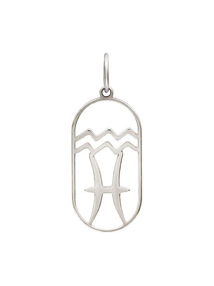 Подвеска Куспид Водолей-Рыбы из серебра, вид спереди