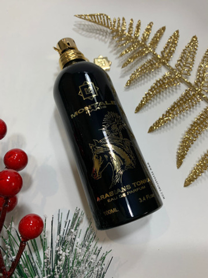 Montale Arabians Tonka