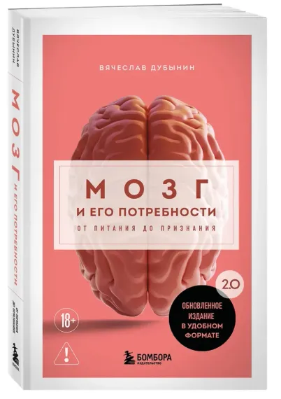 Мозг и его потребности. 2.0 от питания до признания