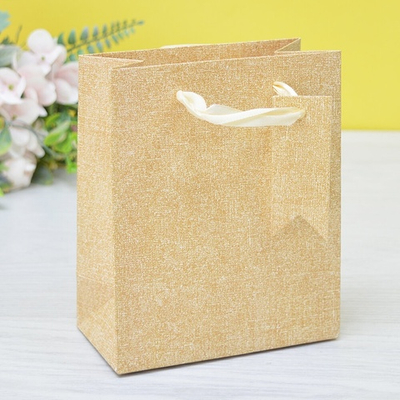 Пакет бумажный 12*15*6,7см с ручками "Премиум" микс