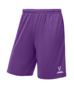 Шорты баскетбольные Camp Basic, фиолетовый, детский