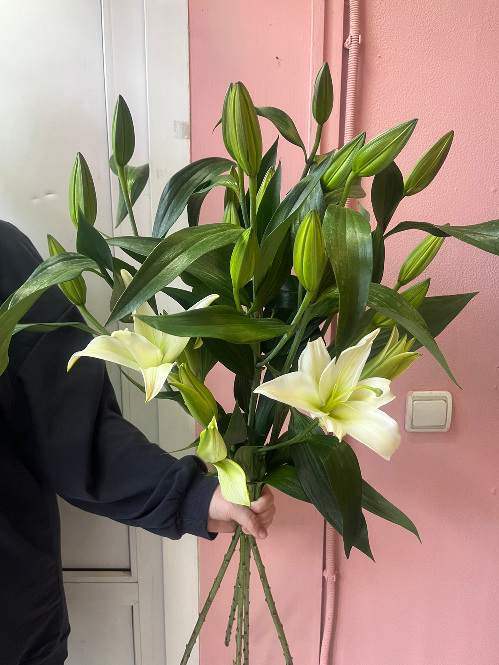 Букет из 5 белых лилий