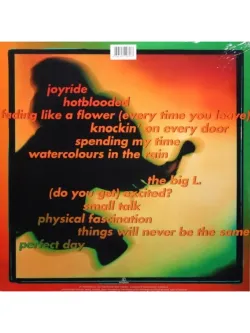 Виниловая пластинка