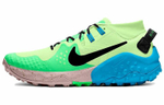 Кроссовки Nike Wildhorse 6 Pu
