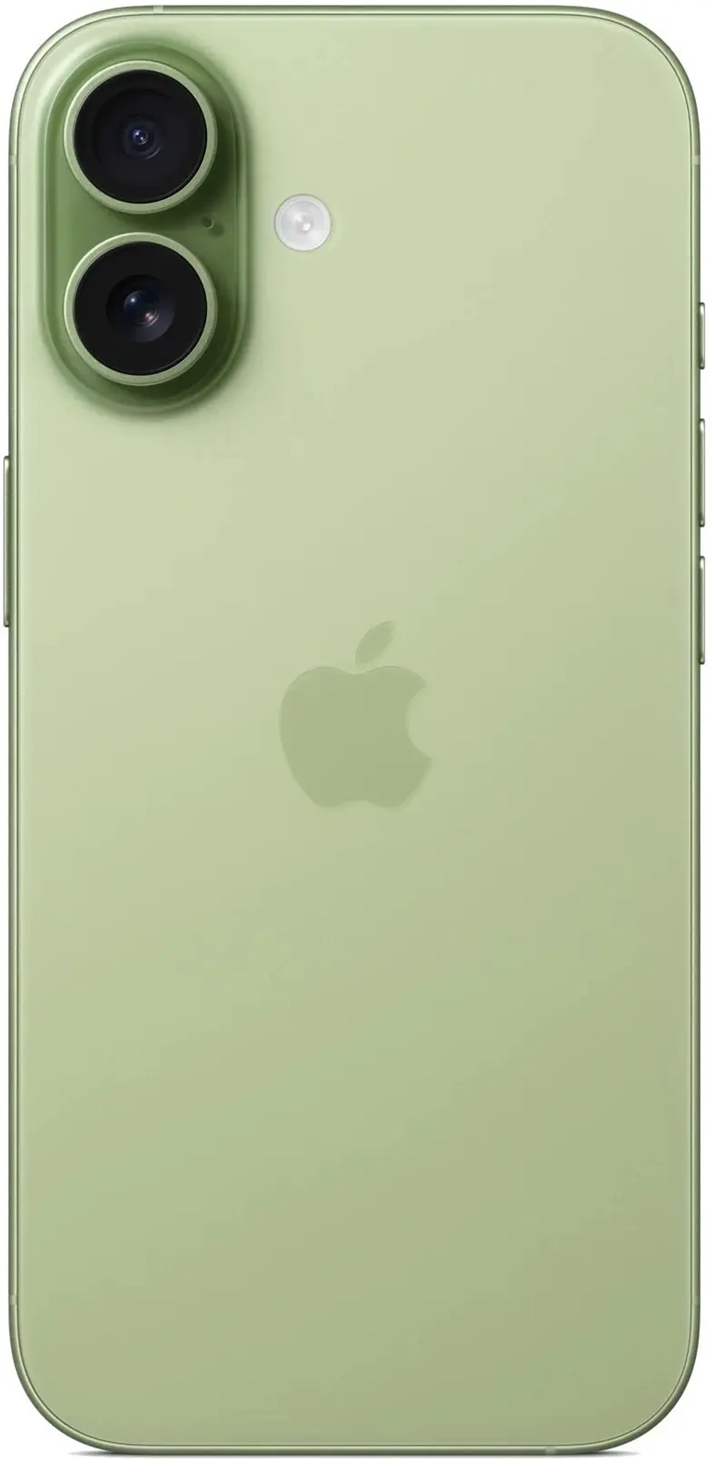 iPhone 17 256 ГБ зеленый Без коробки