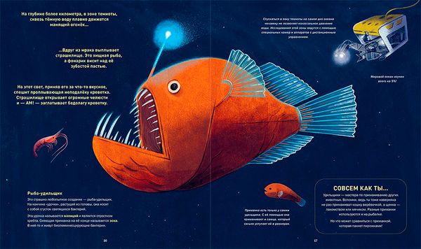 Кто светится в темноте?