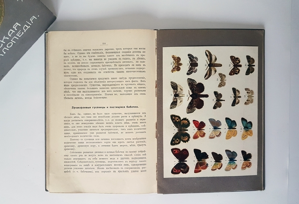 "Детская энциклопедия". 1914г.