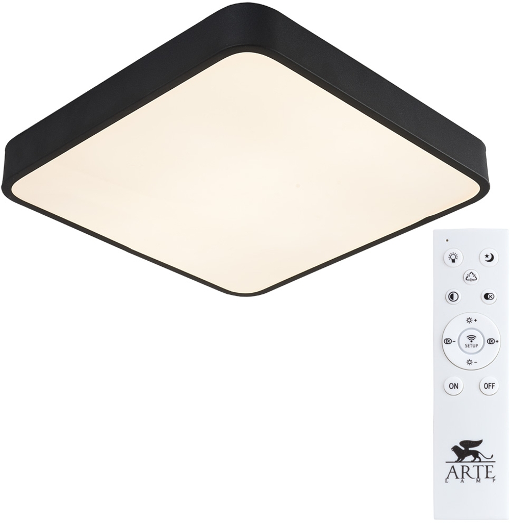 Накладной светильник Arte Lamp A2663PL-1BK