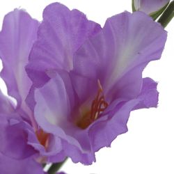 GAEM Цветок искусственный "Гладиолус", L9 W9 H81 см