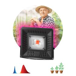 Фитопрожектор для растений светодиодный ЭРА FITO-50W-LED-BLUERED для цветения и плодоношения 50Вт красно-синего спектра