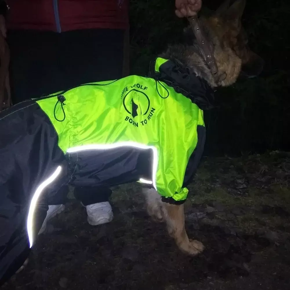комбинезон для собаки светоотражающий желто-черный