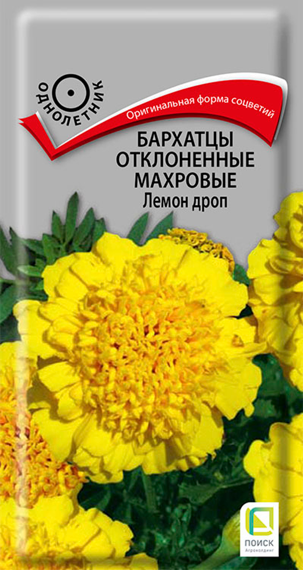 Бархатцы отклоненные махровые Лемон Дроп