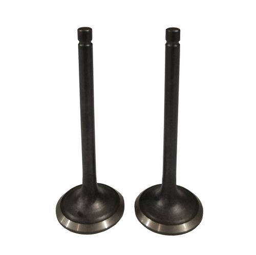 Клапаны (пара) LC2V90FD/500550082-0001