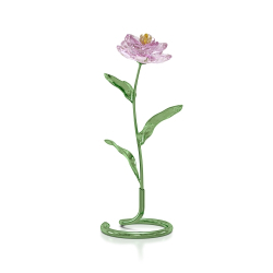 FLORERE:PEONY