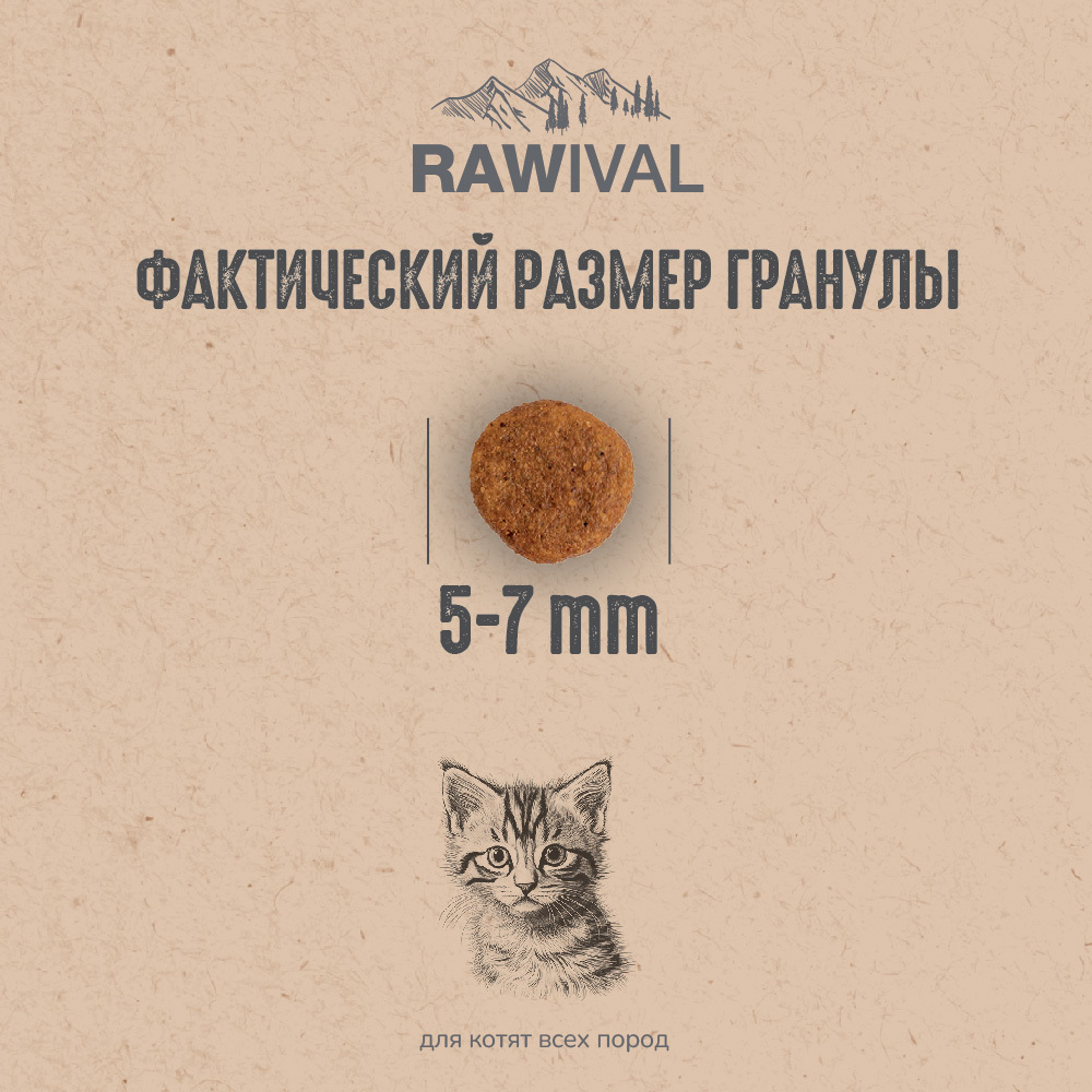 Сухой корм RAWIVAL для котят с курицей и рыбой - 0,4 кг